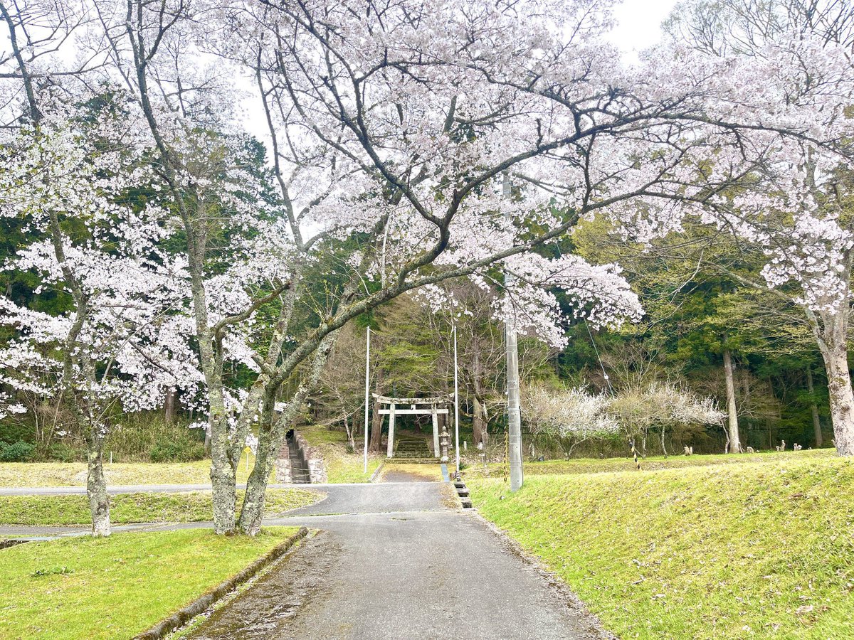 森のフォトスタジオ〜丹波〜 tweet media