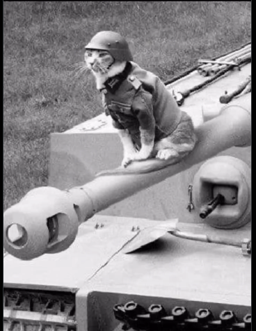 Künstler Kennett Krieg tweet media