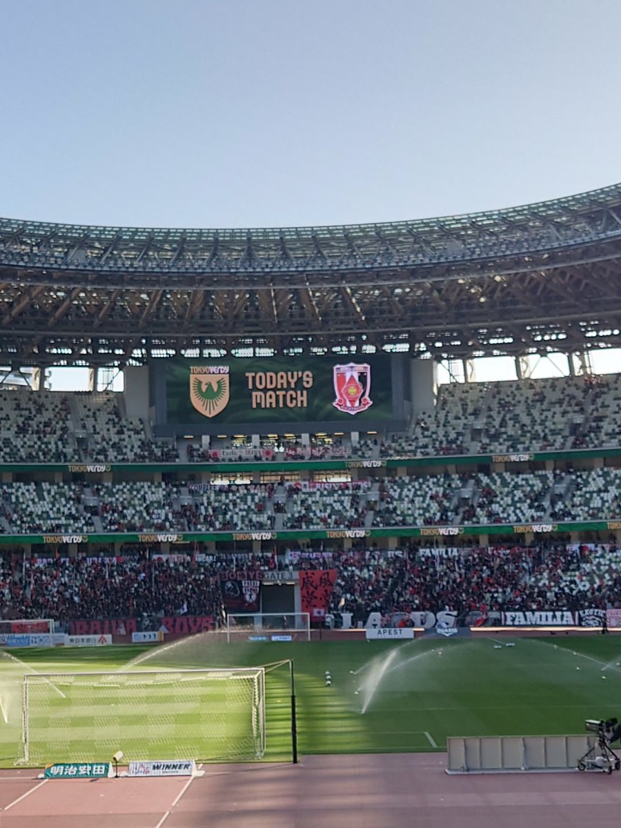 ゆめ花 @奥多摩 tweet media