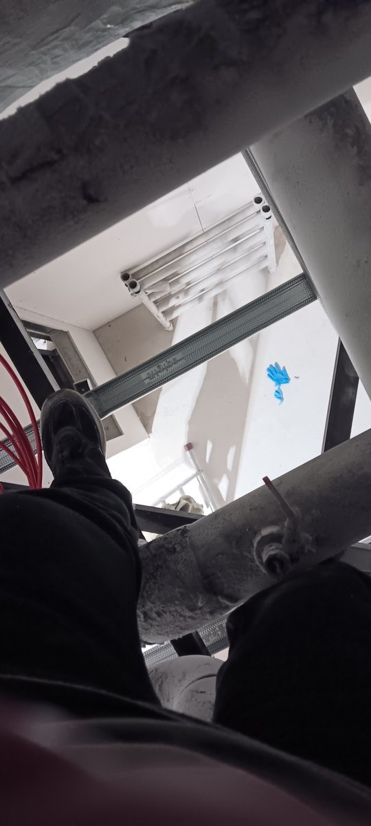 Iga Stolpe tweet media