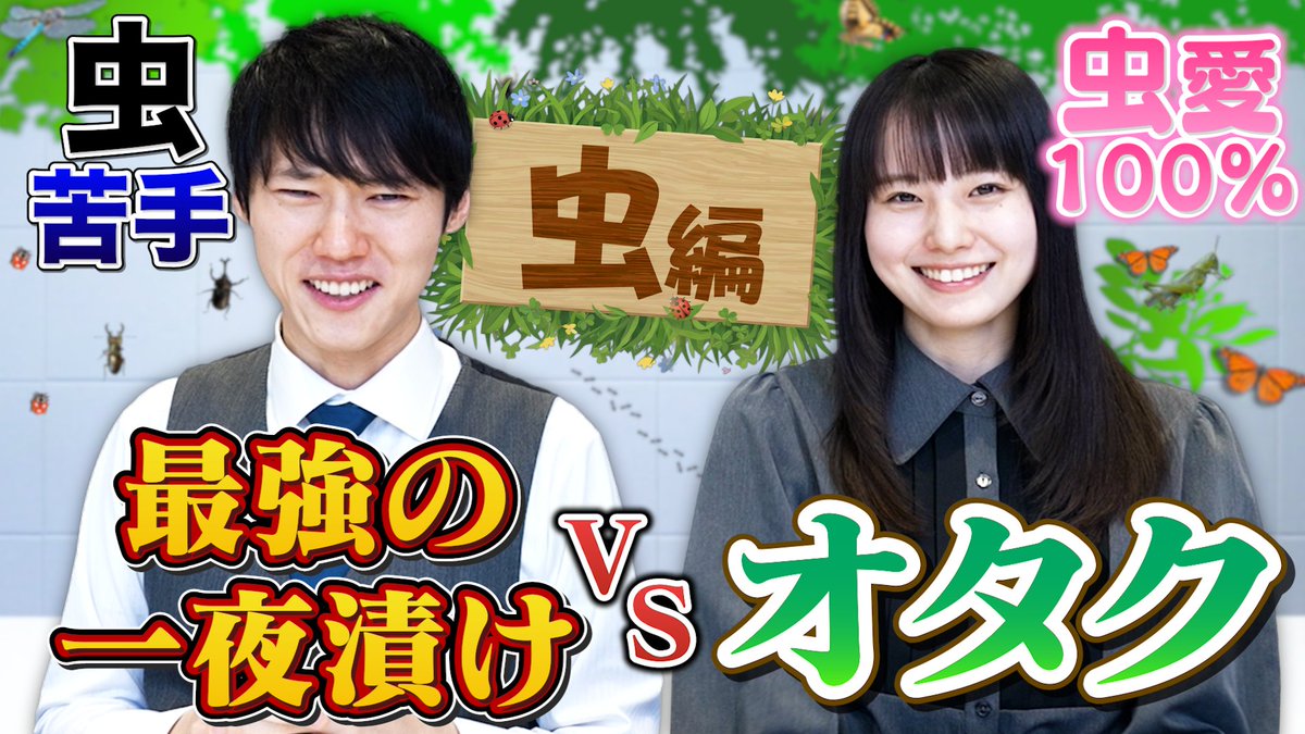 Stardy公式 tweet media