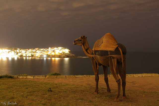 From dusk to dawn there is magic to be seen, show us what you’ve got! 

 From sun down to sun up!