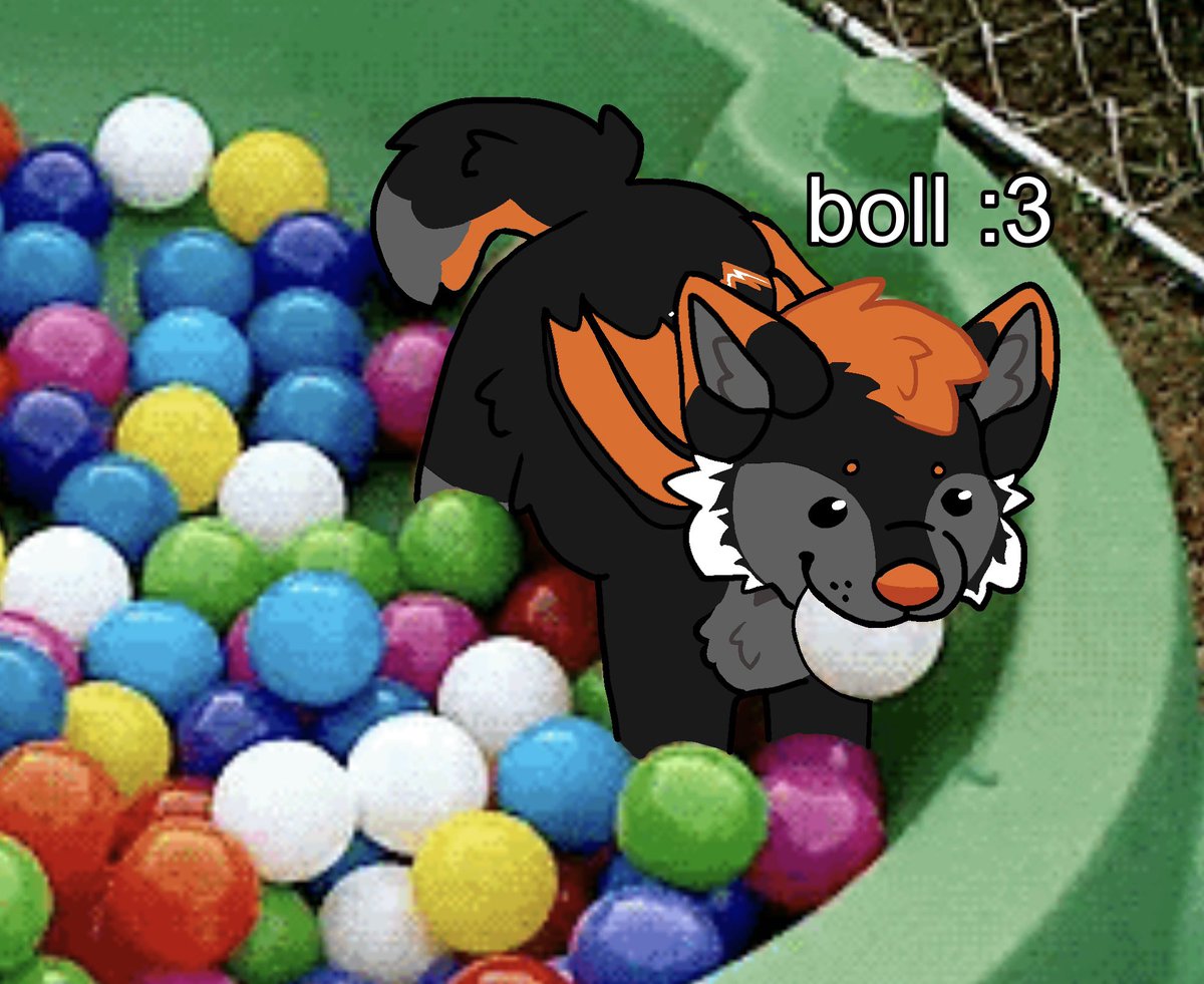 ᴏʀᴀɴɢᴇ ✨ tweet media