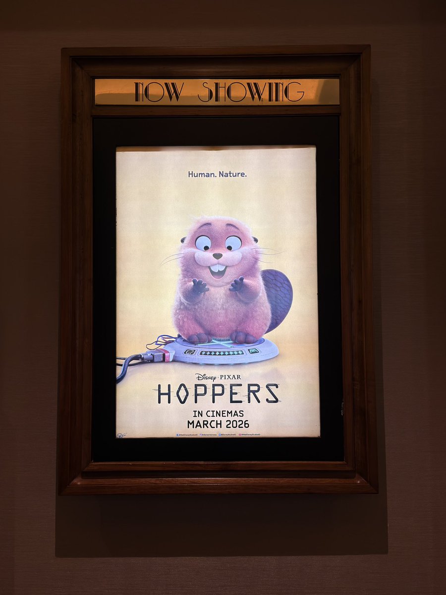 Almond Donuts 🍩 tweet media