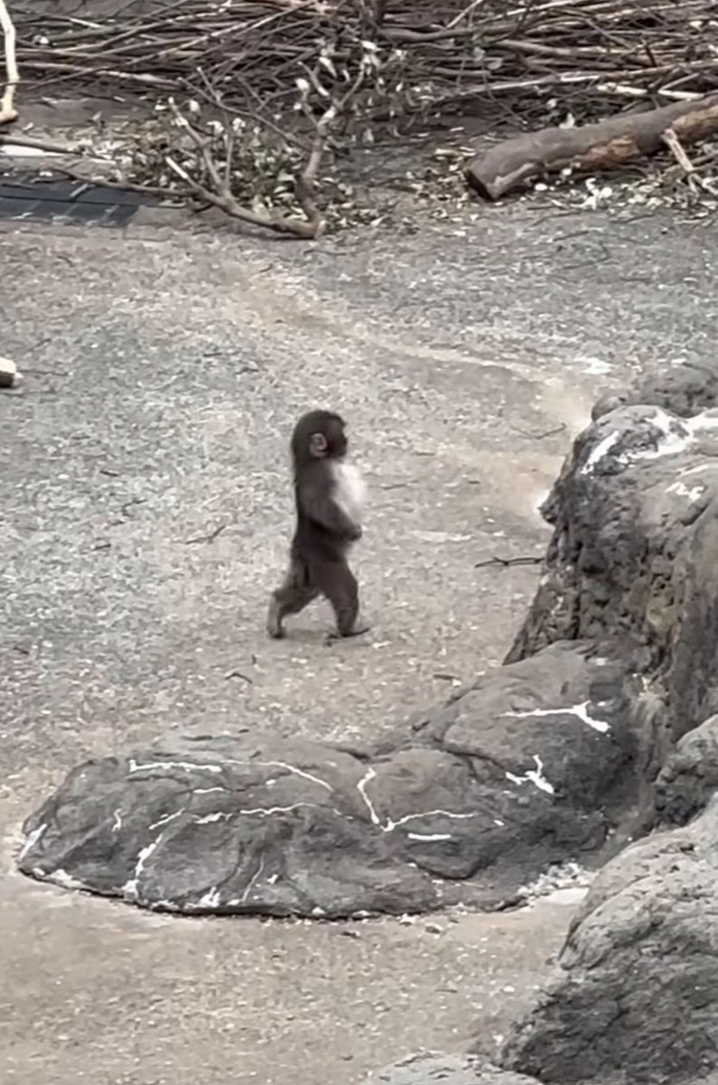 พุ่งงเต่งไม่ไหว 🤣