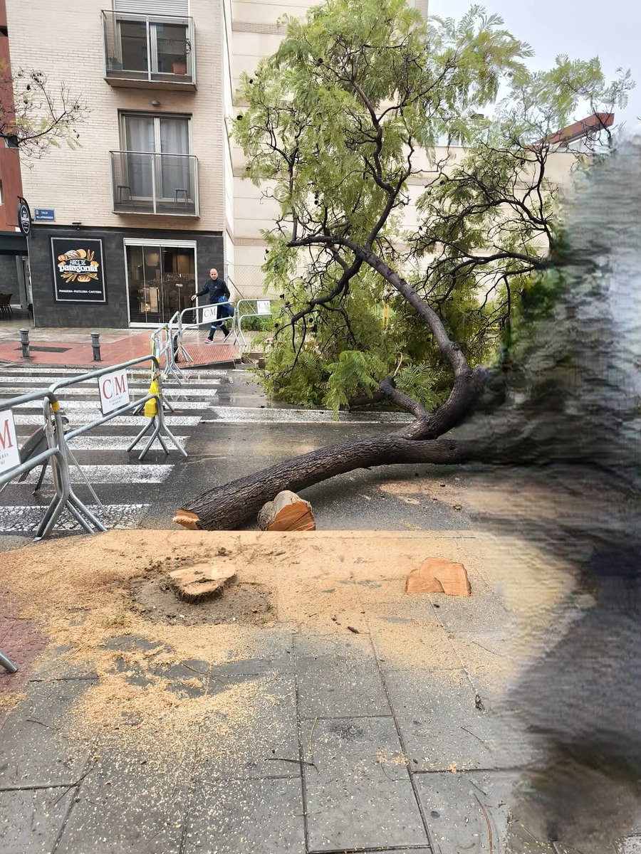 Compromís SanVi tweet media