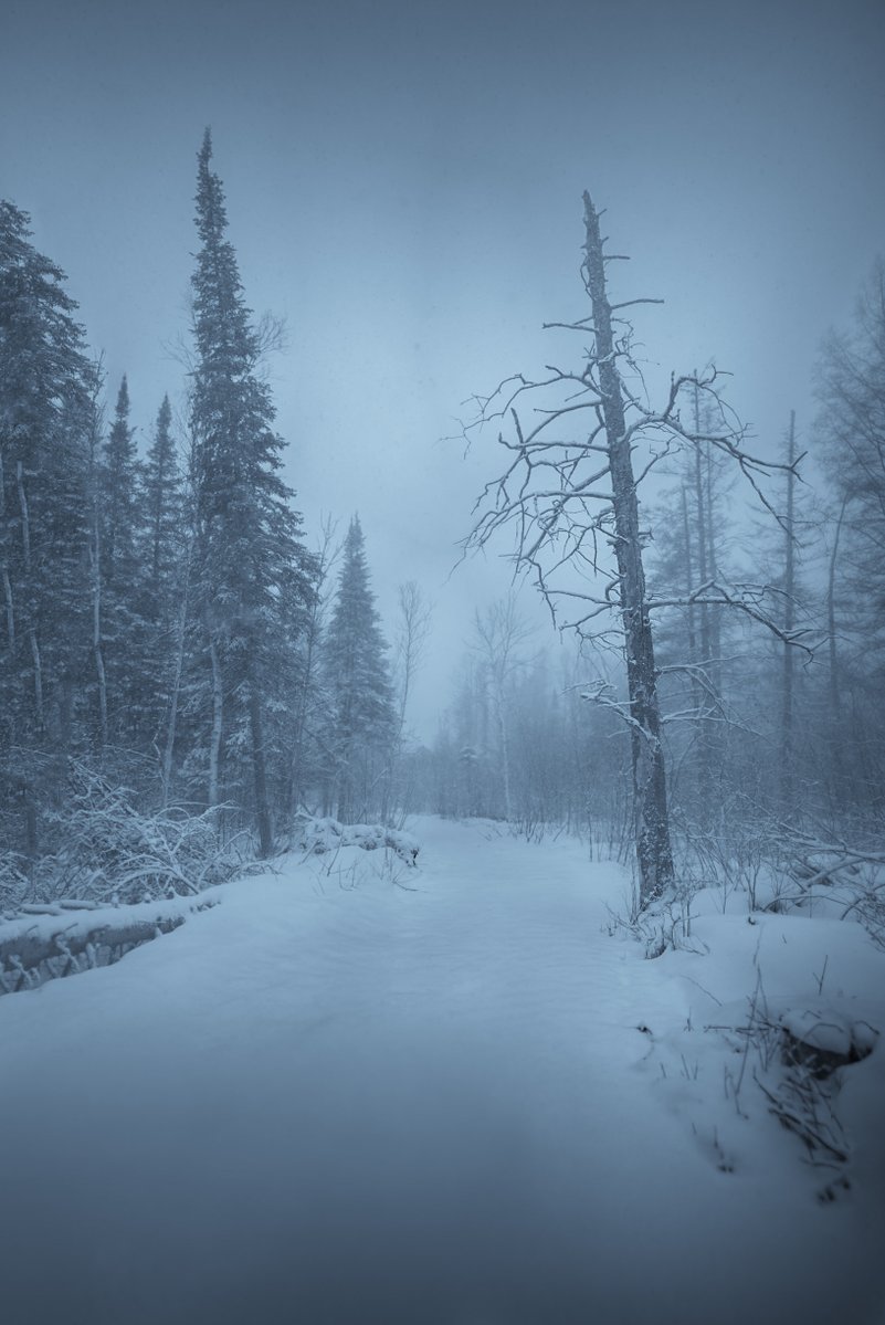 Loki Highlock tweet media