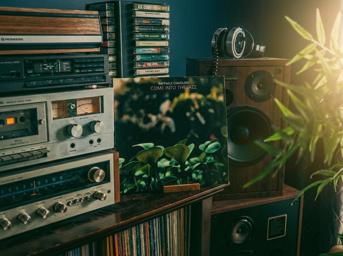 GROOVE CULTURE Music tweet media