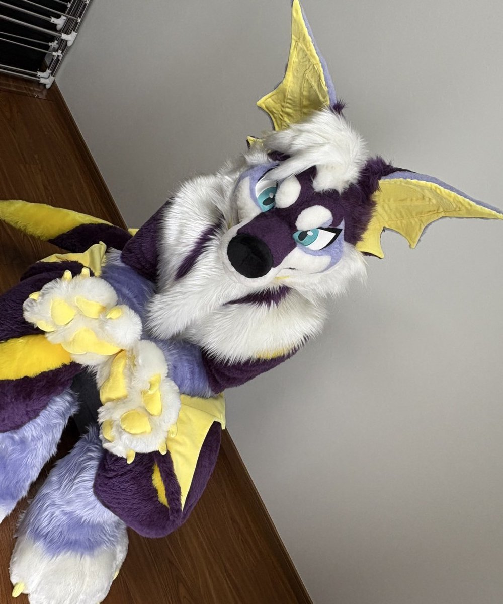 のり／ウィスター🦇🐺 tweet media