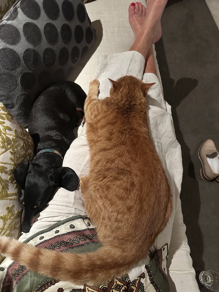 Pippa MacKay tweet media