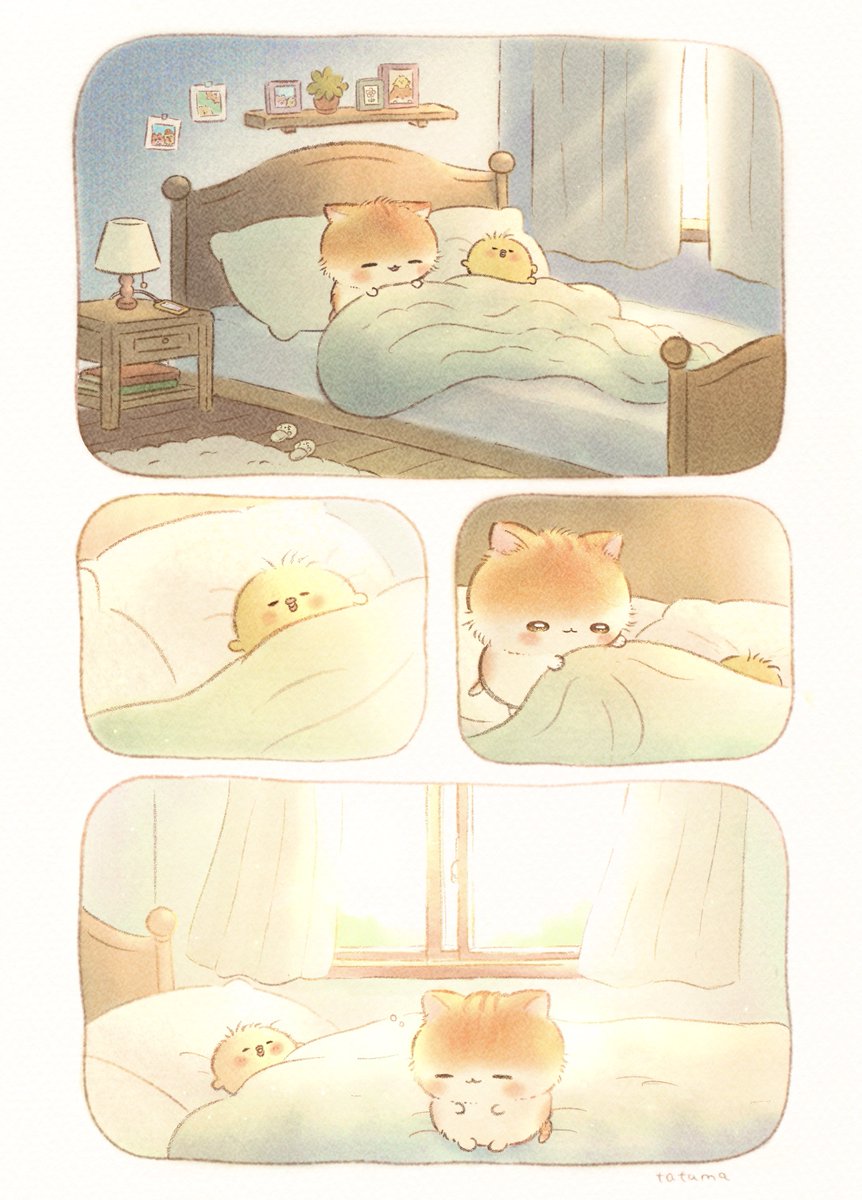 ゆっくりの朝