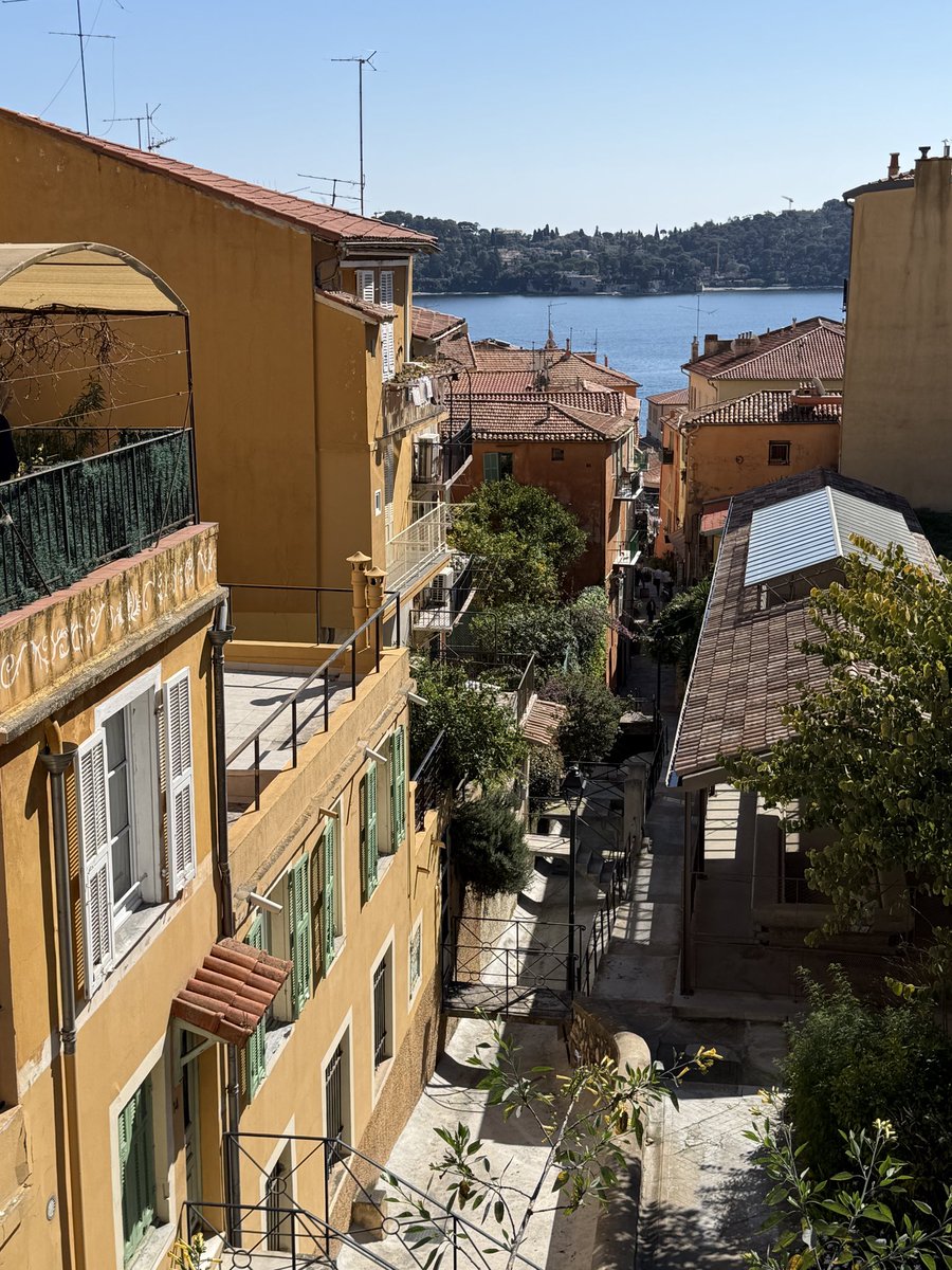 Catherine | Traveling with Sweeney tweet media