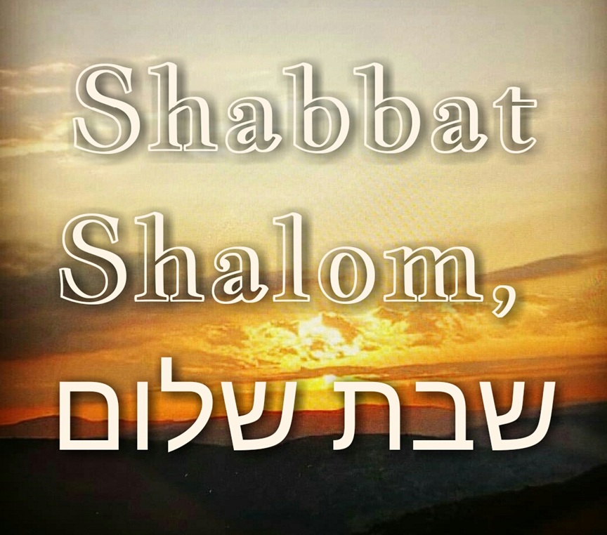 REAL Grutte Pier 😀😎🇳🇱🇻🇪 ✒In awe of Thy Word tweet media