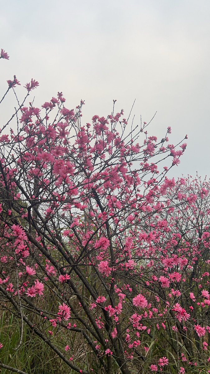 一日不见 tweet media