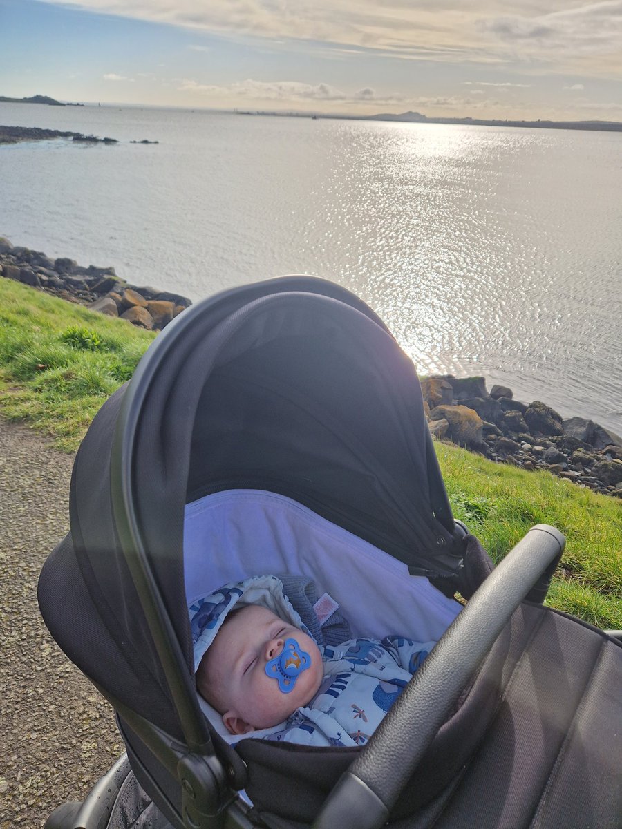 Martin Dempster tweet media