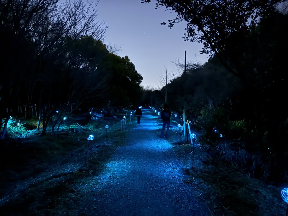 アシアタ tweet media