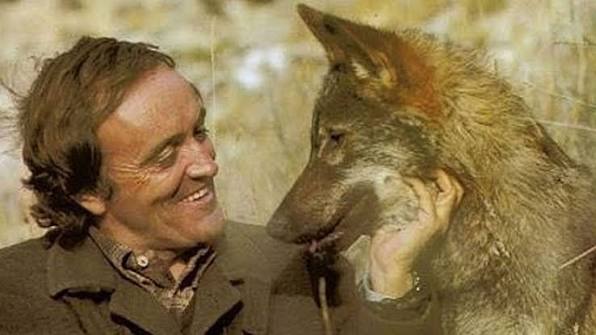 Fernando Ferreiro tweet media