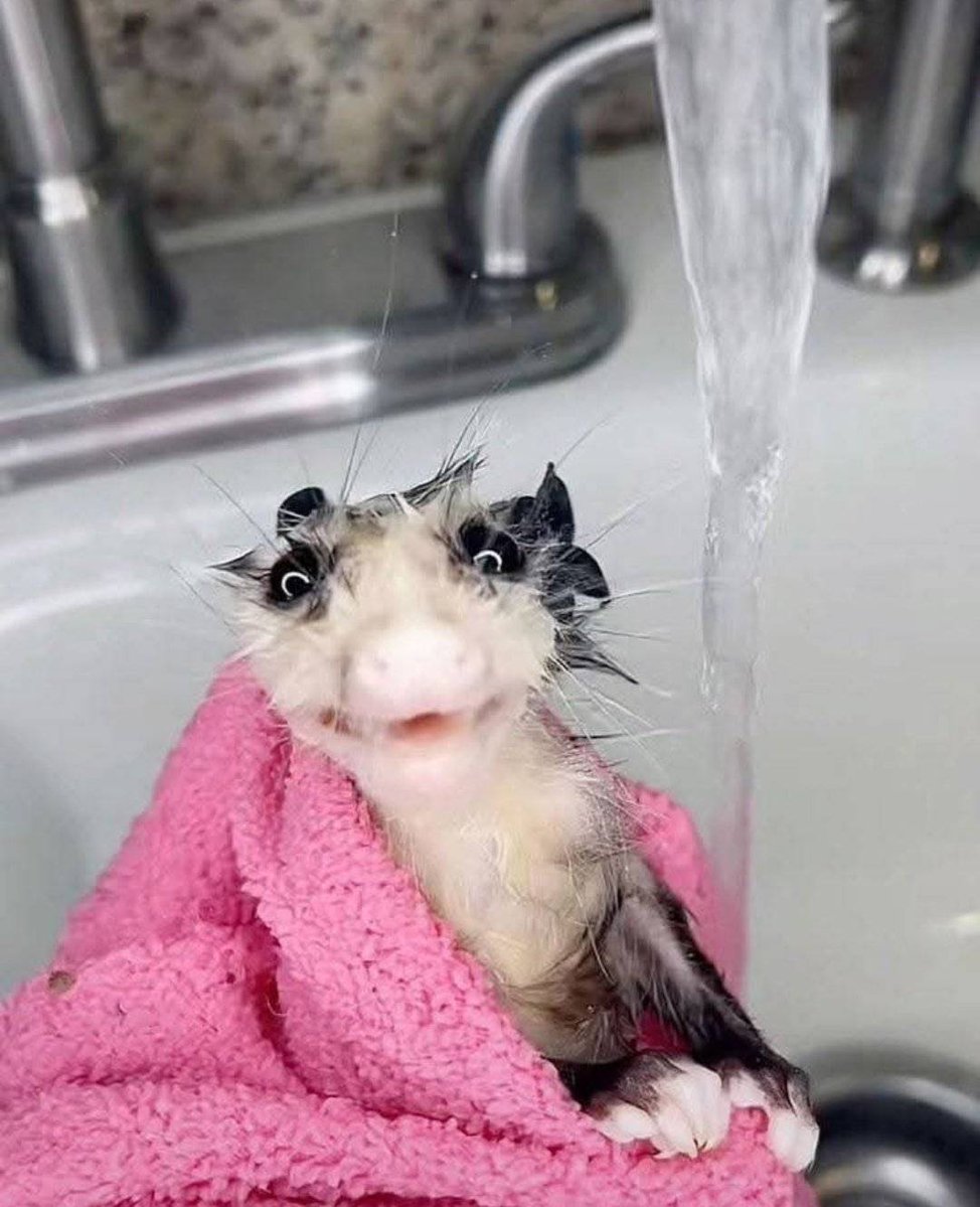 i ate a glass marble when i was 6 🥞⃤ tweet media