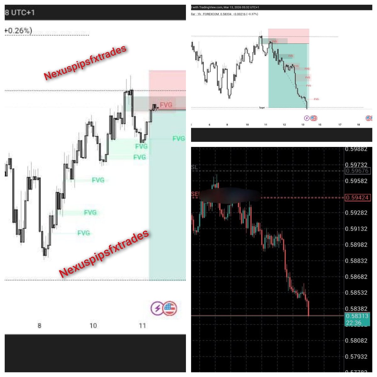 Nexuspipsfx tweet media