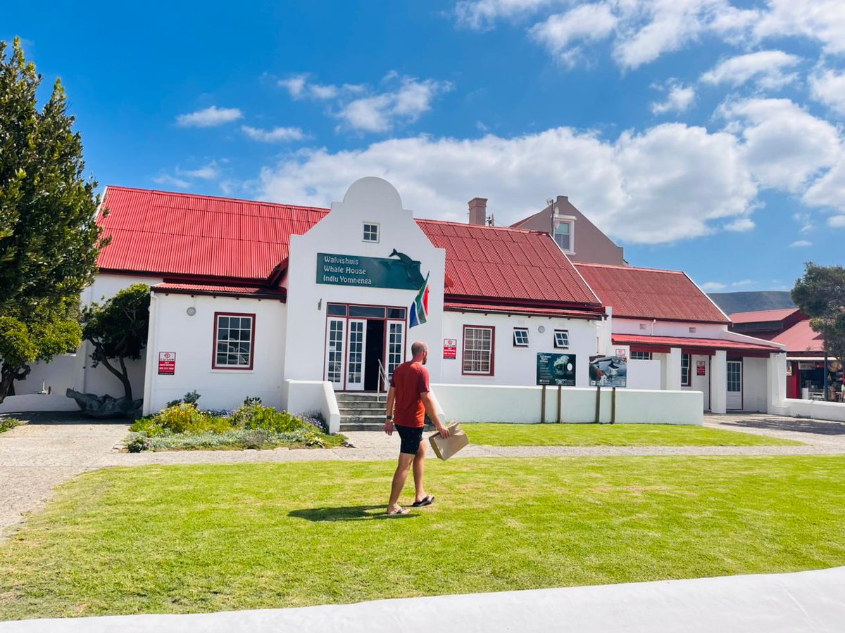 Hermanus Tourism tweet media