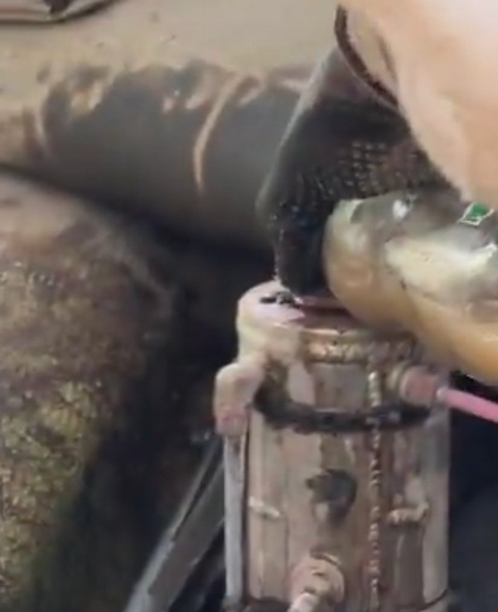 Burgrid⑯ tweet media