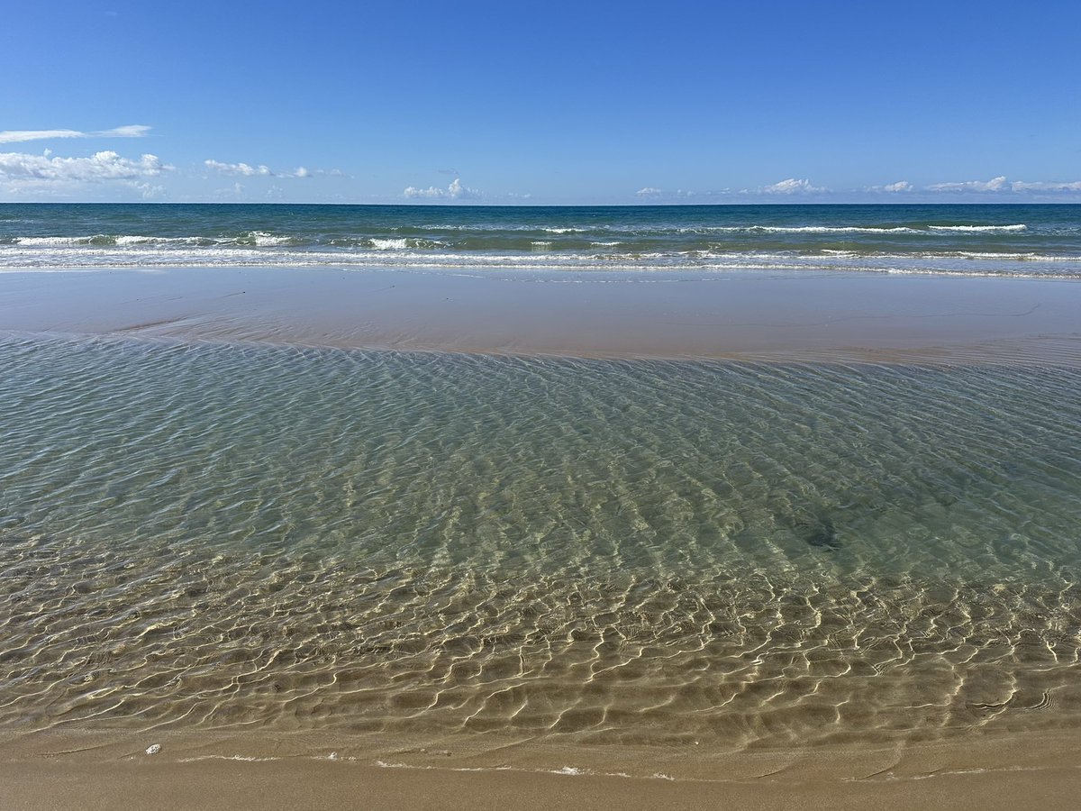 fra Girolamo Palminteri tweet media