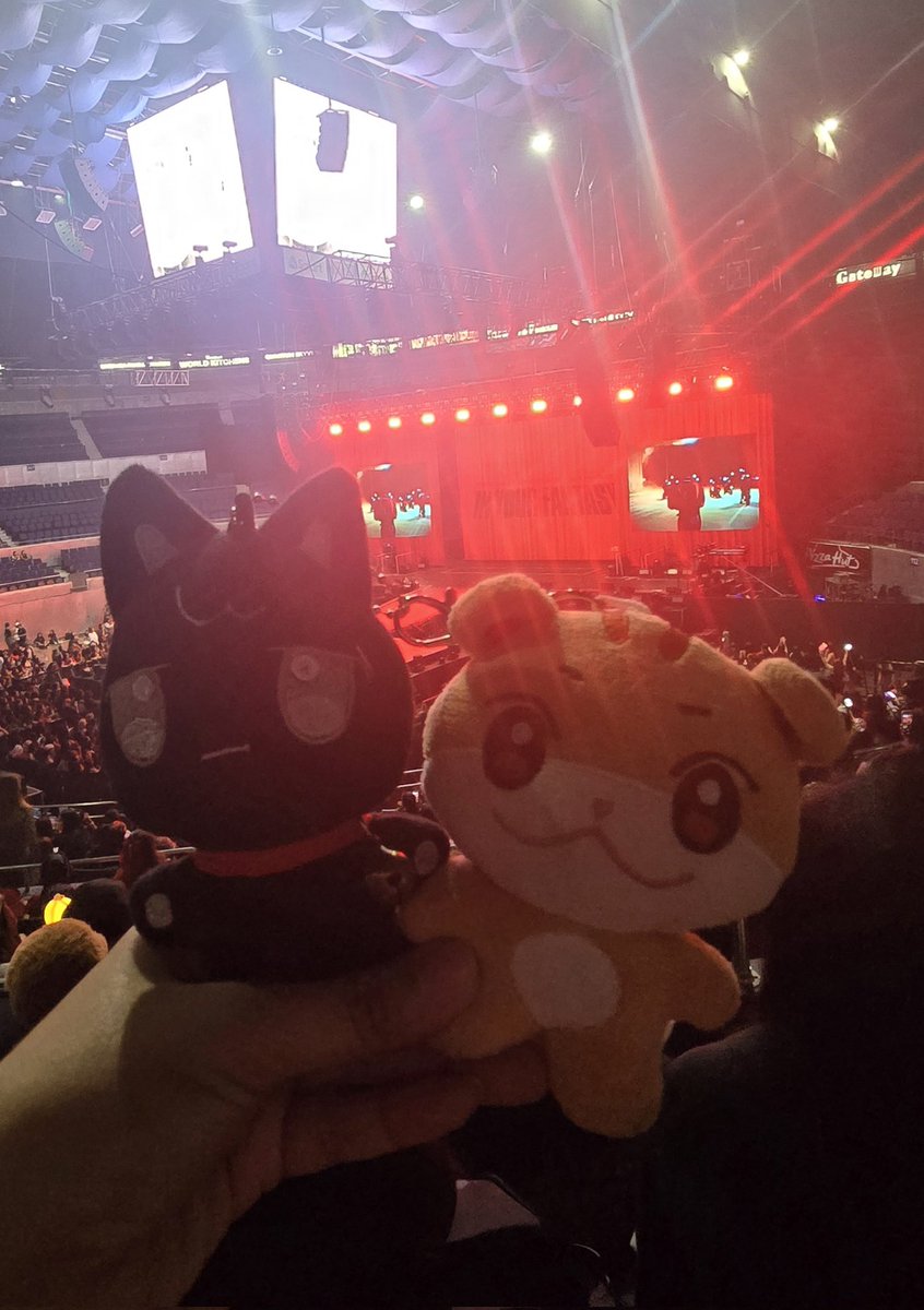 jaz096's tweet photo. READY!!!!! https://t.co/vB1obNXUAO