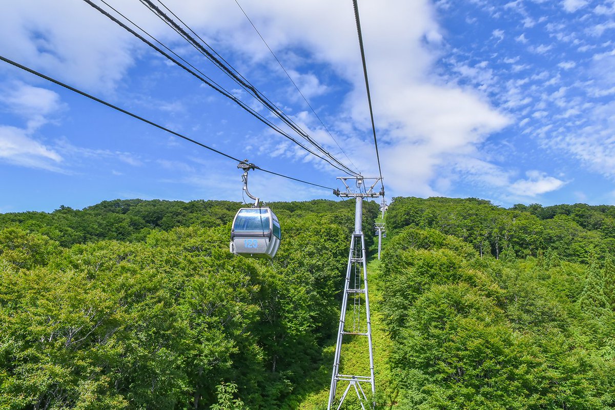 あきたびじょん tweet media