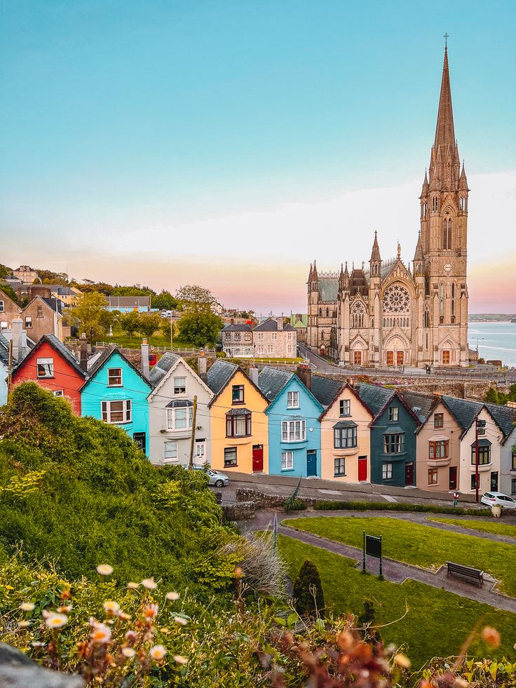 Beauty Explorer tweet media