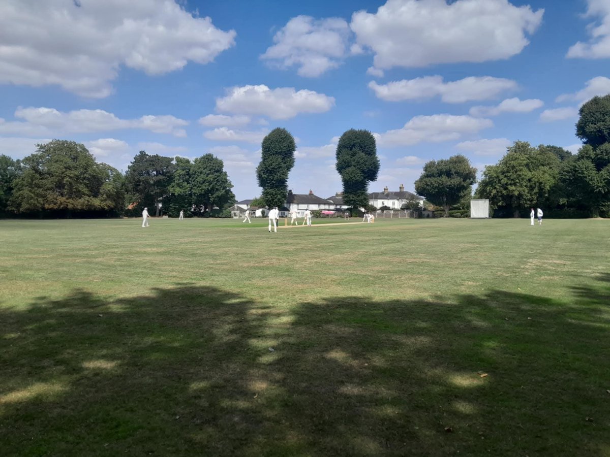 Ware Cricket Club tweet media