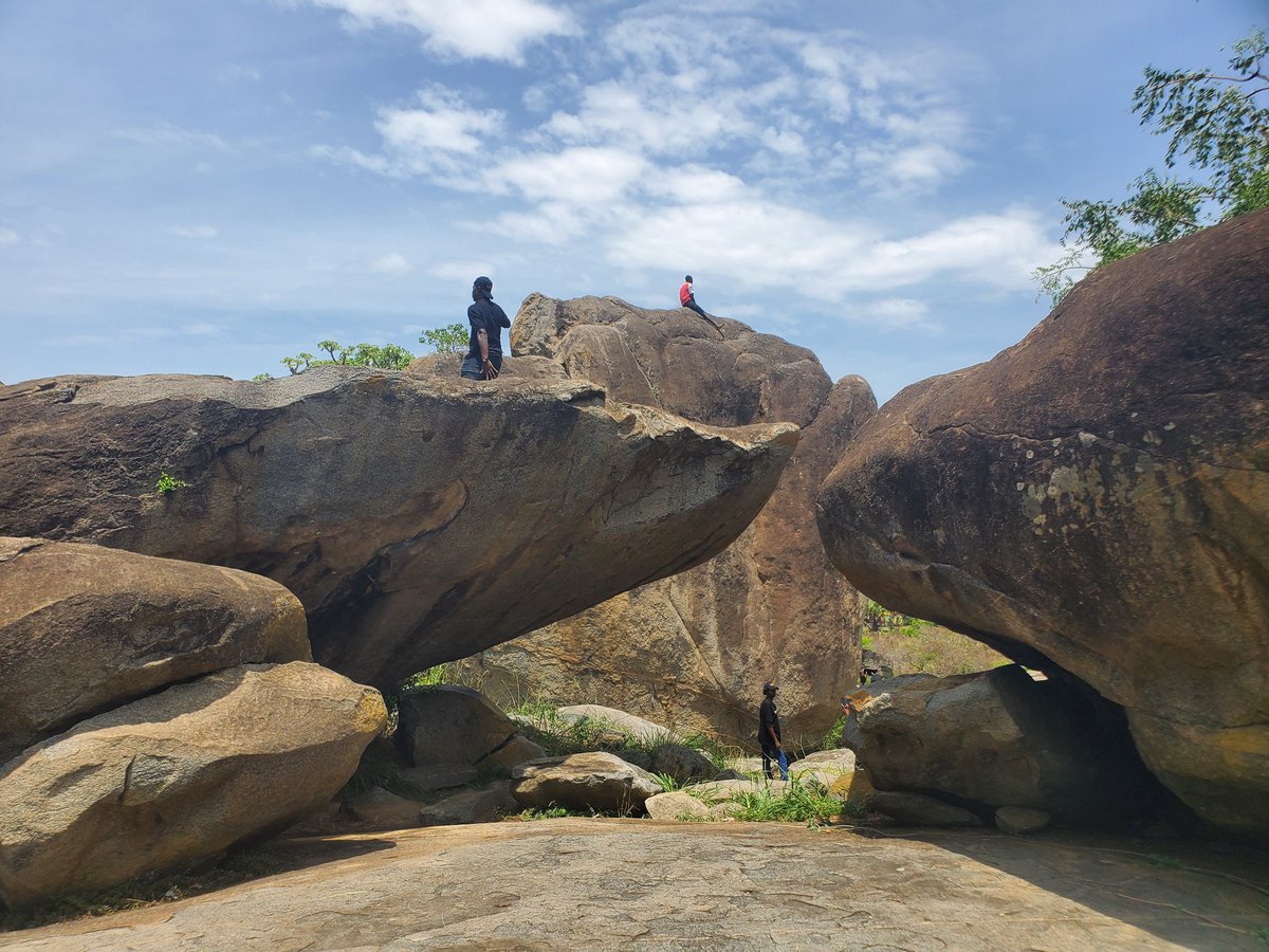 Chowoo Willy tweet media