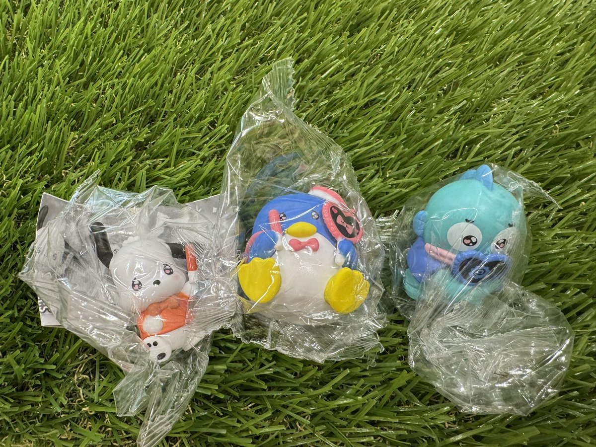 ゆちゃん！ tweet media