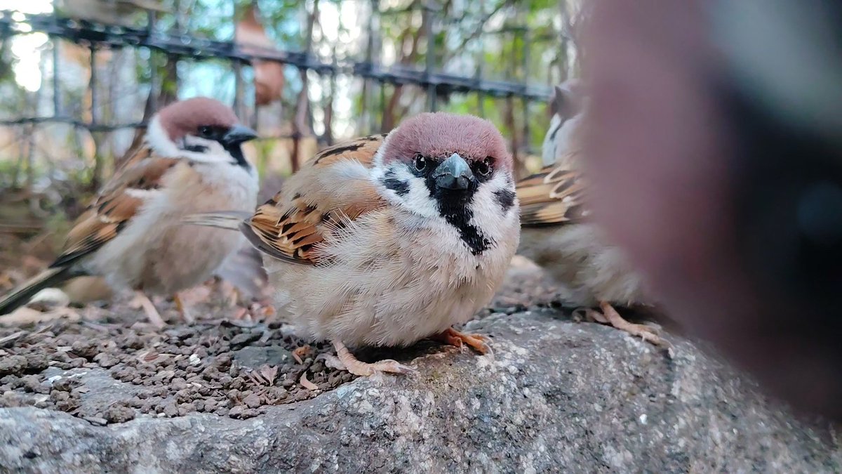 おんぢ🐦🚴‍♂️ 自転車操業 tweet media