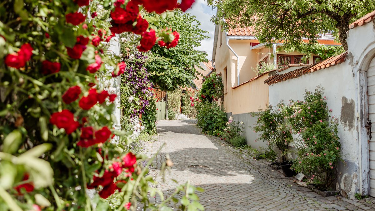 URBAN_RETVRN tweet media