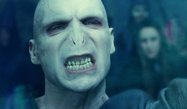 まやくん tweet media