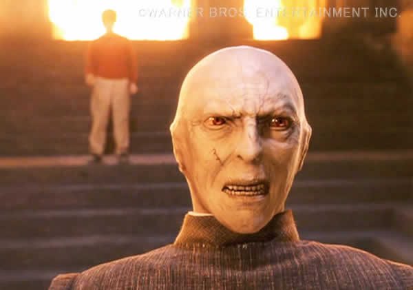 まやくん tweet media