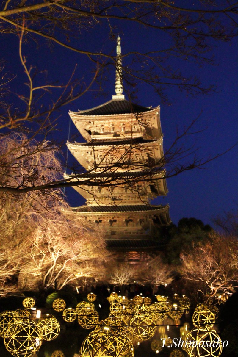 千葉タコス🌮 tweet media