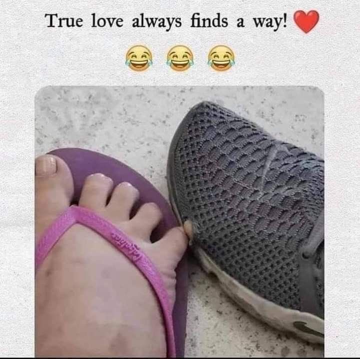 ATysia's tweet photo. 😂😂😂 https://t.co/ftjHNR6qOg