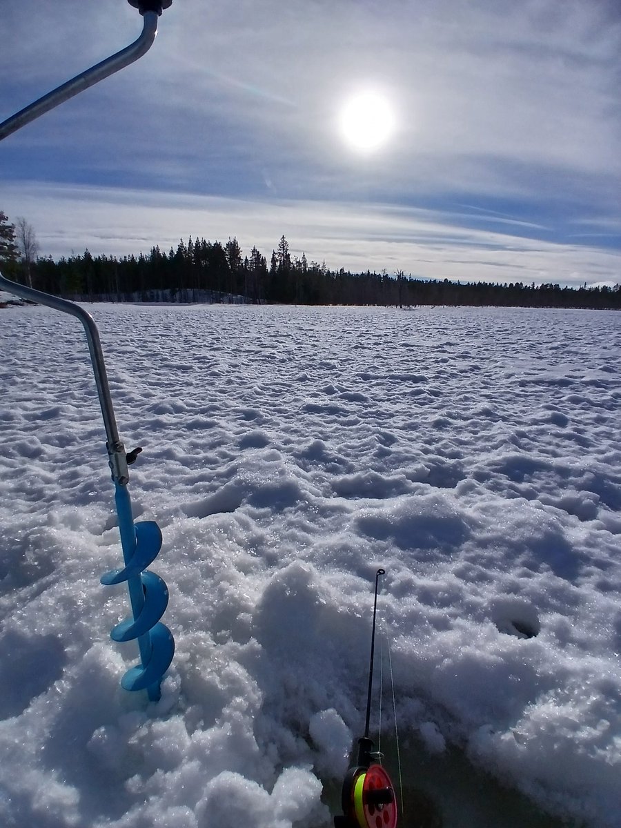 Lapponic tweet media