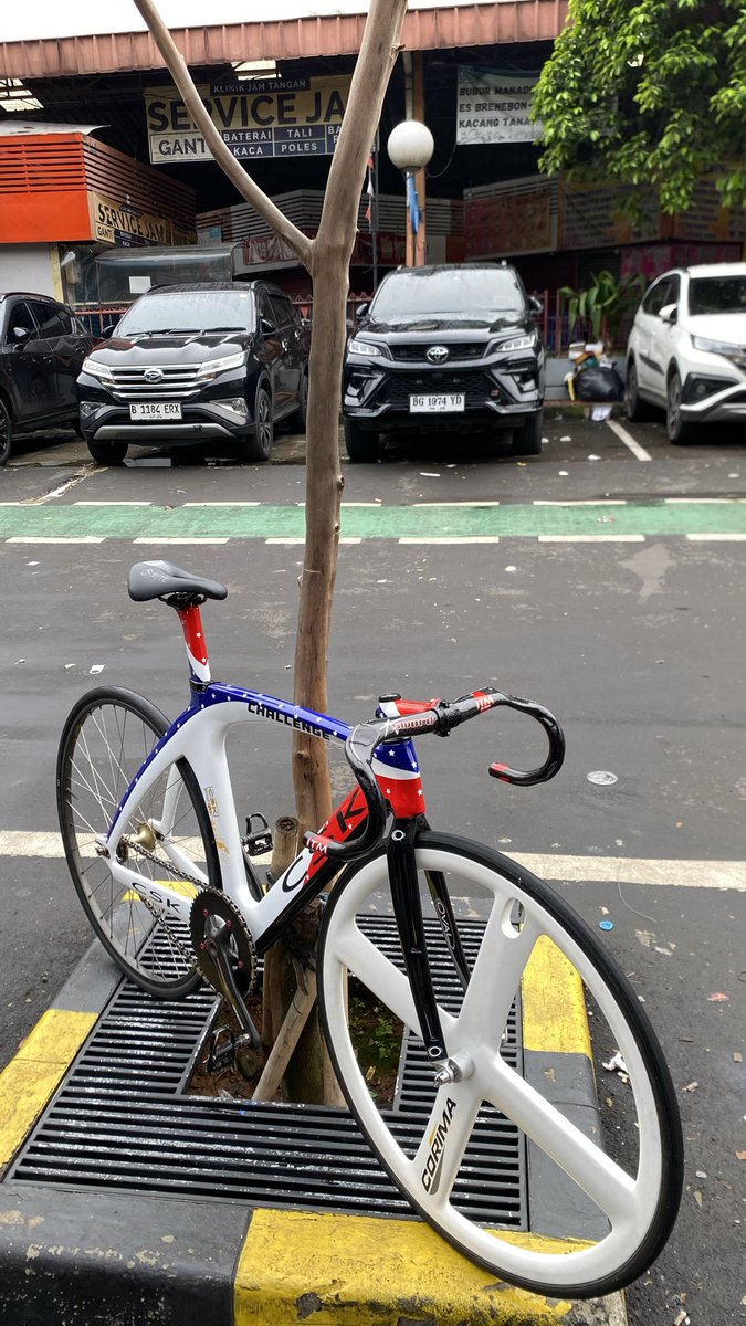 jual ikan cupang tweet media