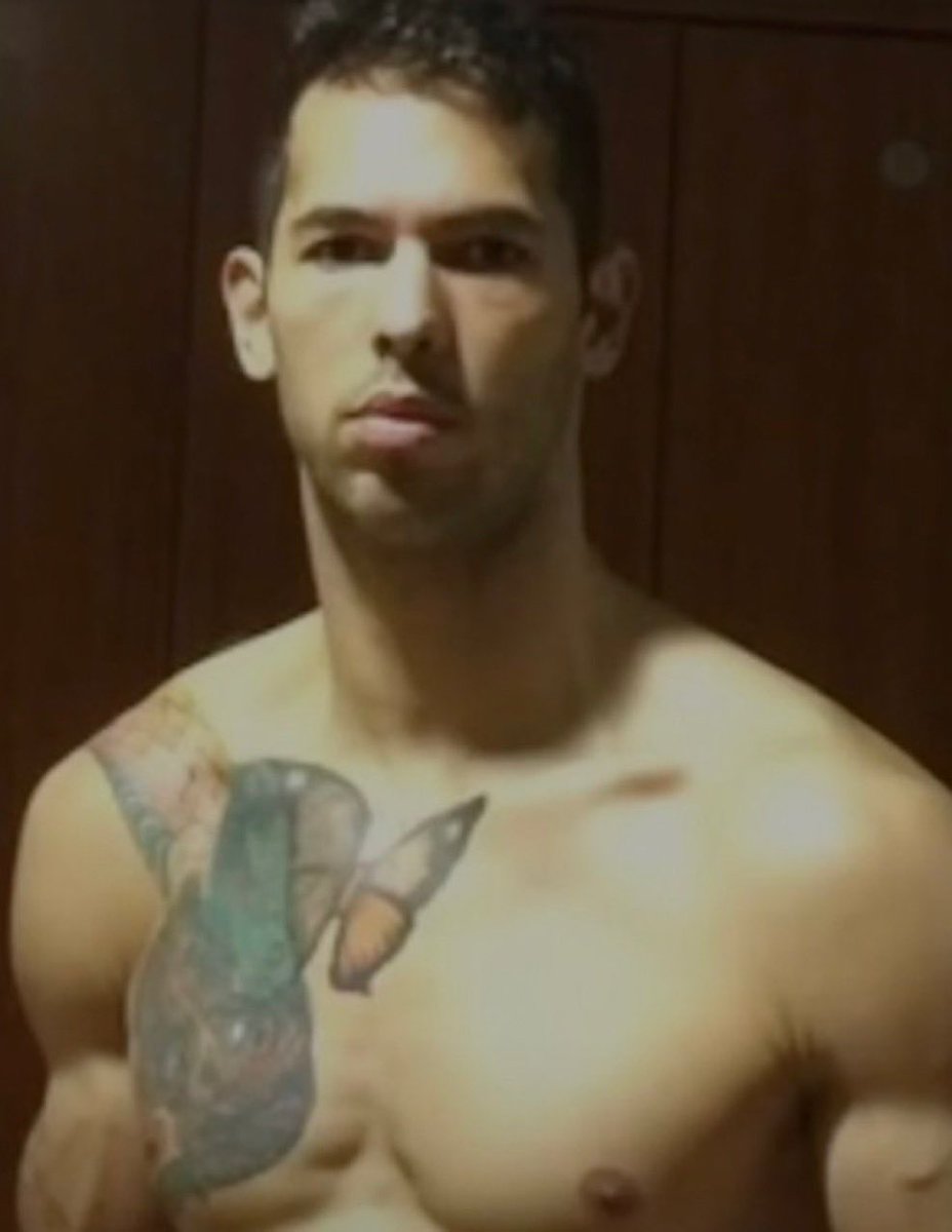 Reptile Hybrid tweet media