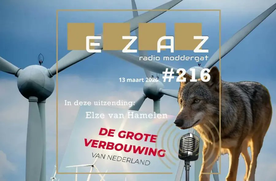 Elze van Hamelen tweet media