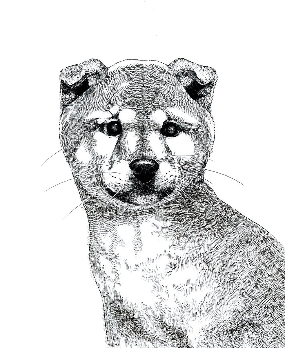 池田早秋(IKEDA Saki) tweet media