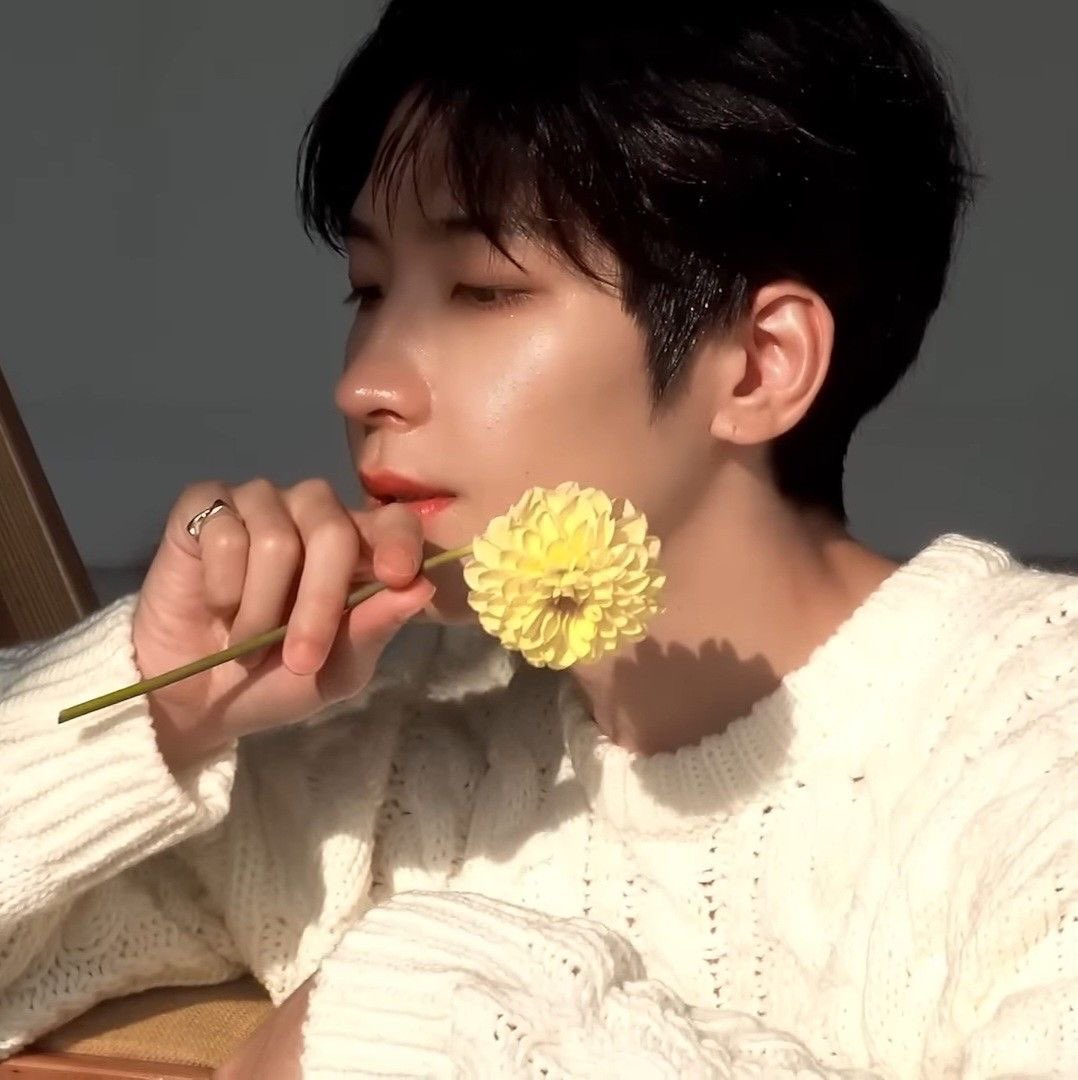 안경냥이 tweet media