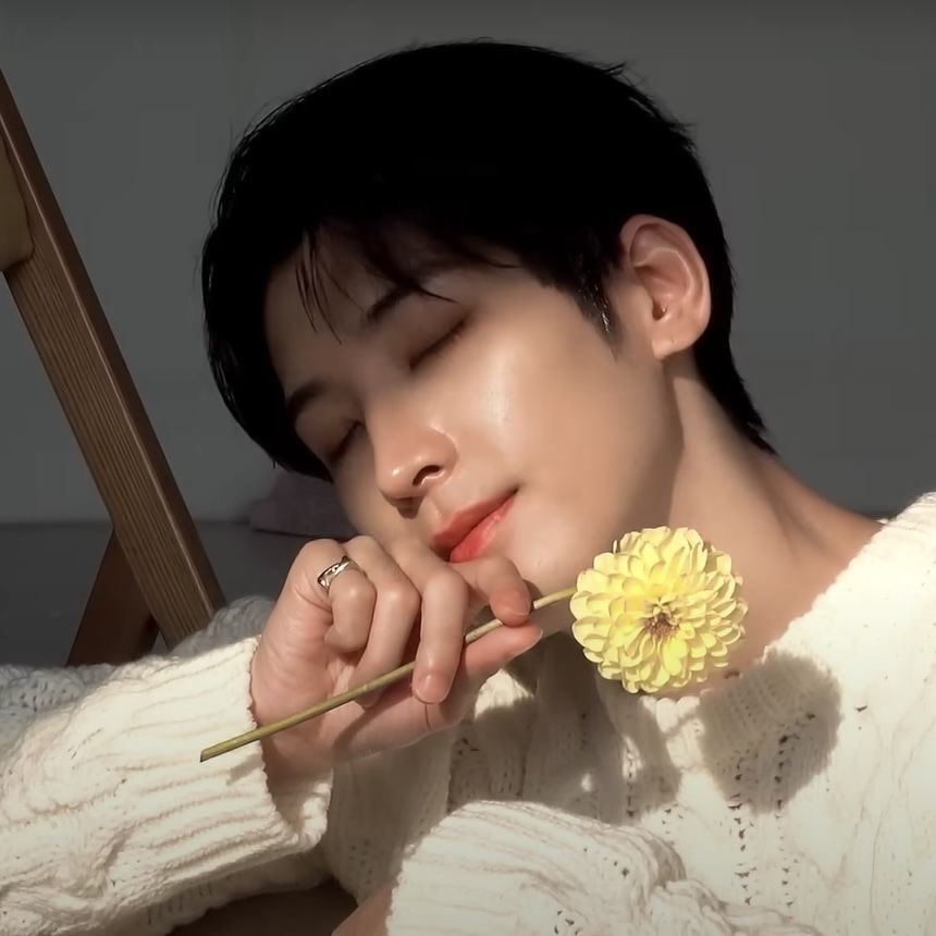 안경냥이 tweet media