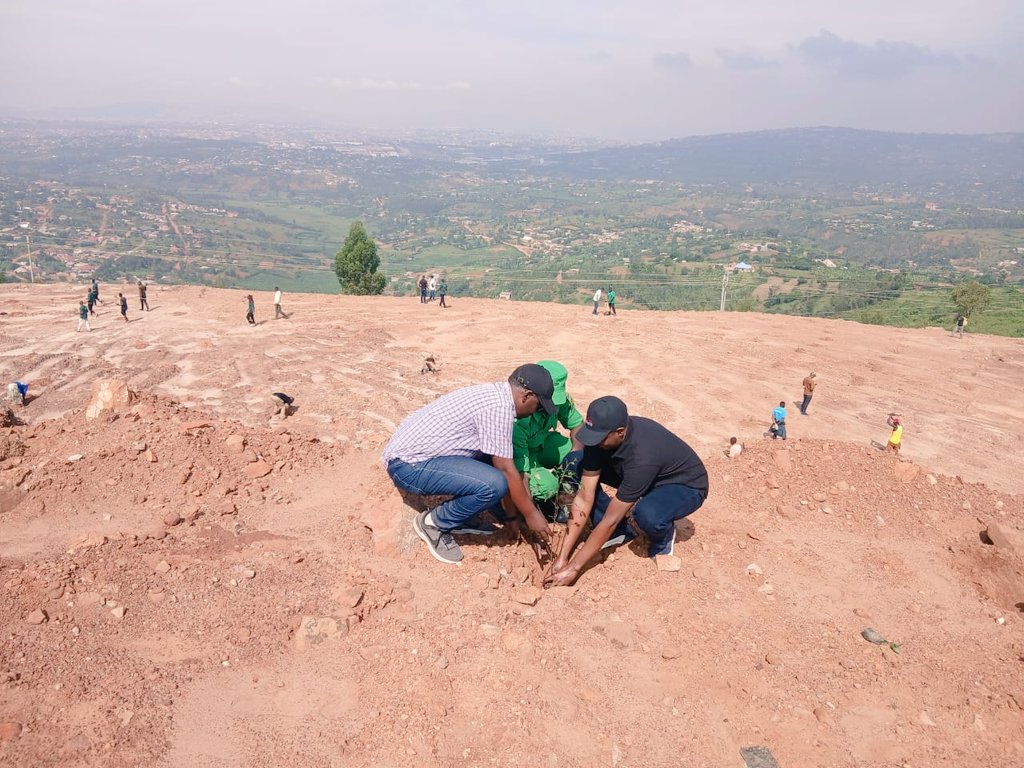 Ndera Sector tweet media