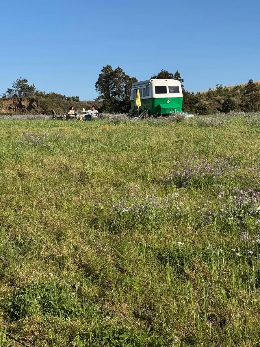 Jisoo Interactions tweet media