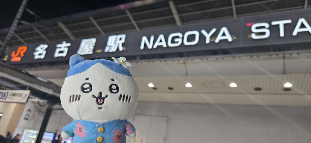 テリヤキ tweet media