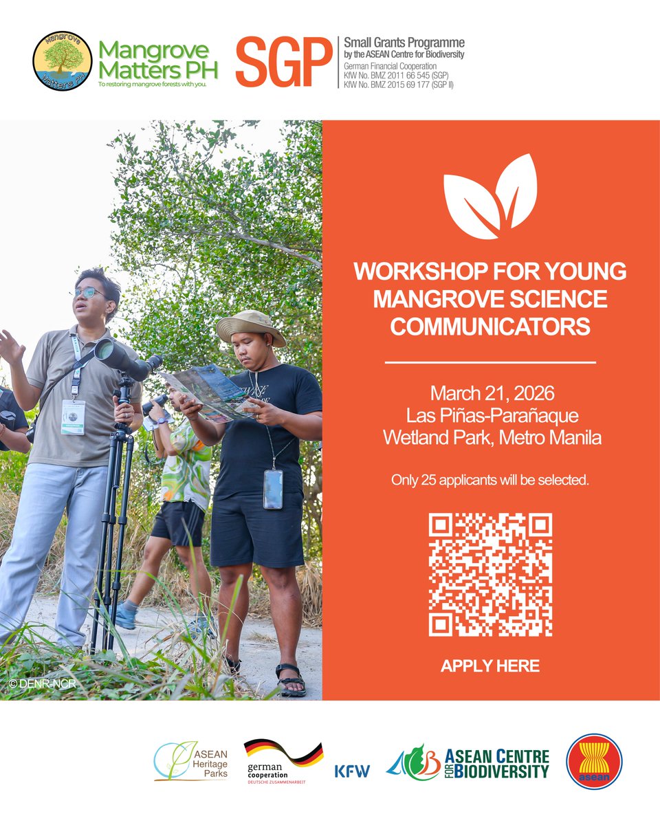 Mangrove Matters PH tweet media