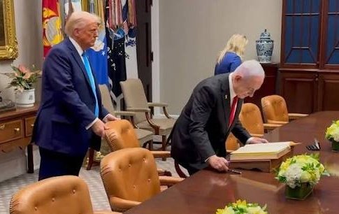 Le ₿unker 🪖 tweet media